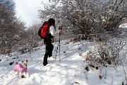 35 e il bosco si veste di bianco anche sulle piante !